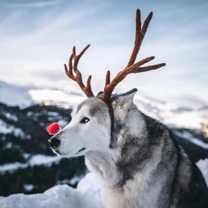 微笑漏出酒窝-整曲 伴奏