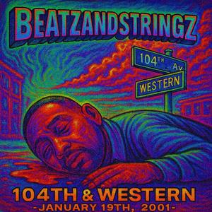 104th & Western January 19th 2001