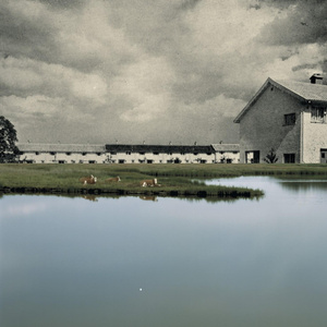 Afternoon PIPS (Piano Version)