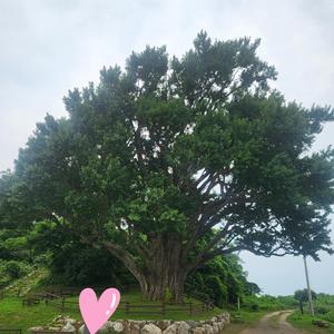 나의 버팀목/My Pillars of Strength