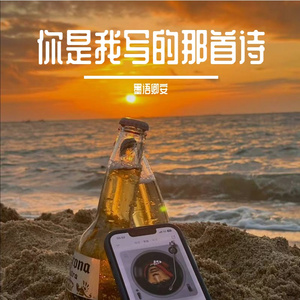 你是我写的那首诗