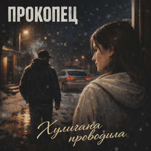 Хулигана проводила