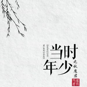 当时年少