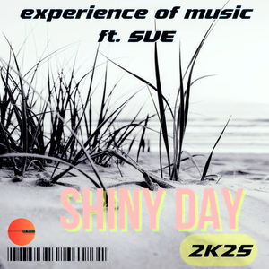 Shiny Day 2k25 (Instrumental)