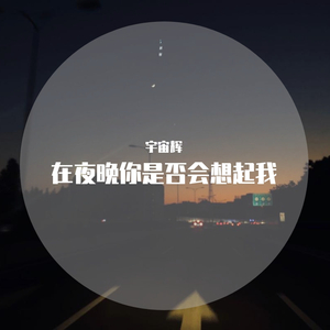 在夜晚你是否会想起我