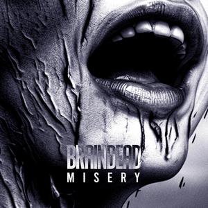 Misery (feat. Breakdown of Sanity & Carlo Knöpfel) (Single version)