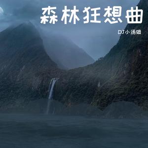 群星-森林狂想曲（DJ小汤姆 remix）