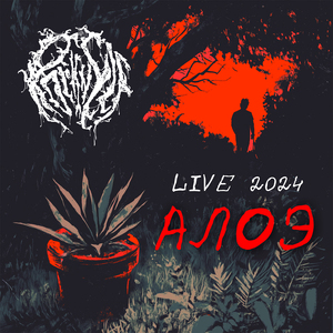 Алоэ (Live 2024)