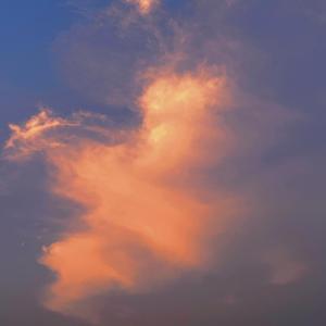 你是我手中的春夏秋冬