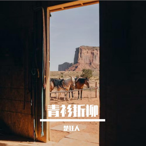 青衫折柳