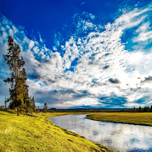 낮잠자기 좋은날 (싱그러운 피아노)