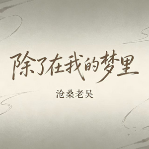 除了在我的梦里