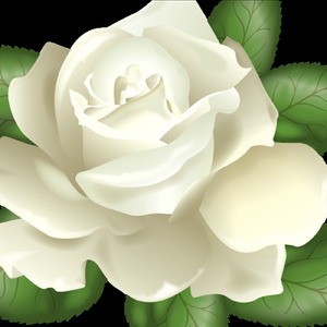 冬色のファンタジア