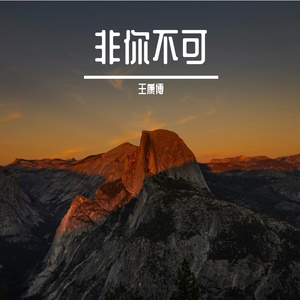 非你不可