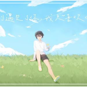 直到遇见了你，我只喜欢你