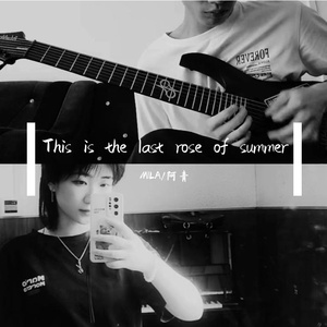 This is the last rose of summer