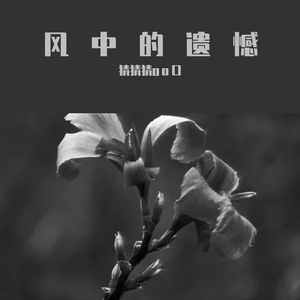 风中的遗憾