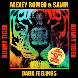 Dark Feelings (Giorgio Brindesi Remix)