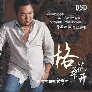 心上人像达玛花