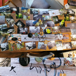 L'écriture des pierres Wild Rendez-vous