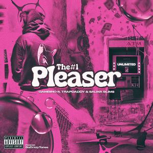 Number 1 Pleaser (feat. Trap Daddy & Salma Slims)