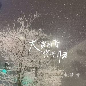 大雪纷飞你不归