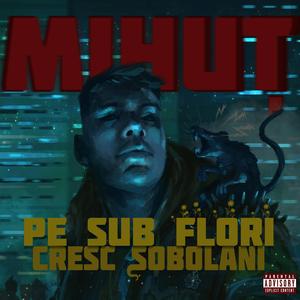 LIBERTATE (feat. Pazzo)