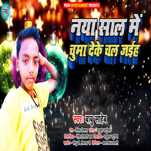 Naya Sal Me Chumma Deke Chal Jaih