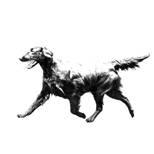 неделя карусель