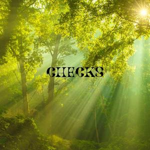 CHECKS
