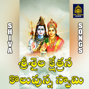 Srisaila kshetrana koluvunna swami