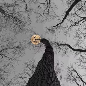 也曾相识_王博英