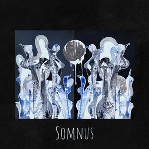 Somnus