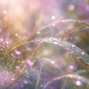 リフレイン（refrain）