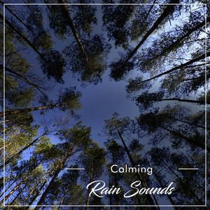 Rain Sound: Steady Showers