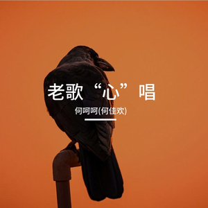 真爱你的云 (柔情版)