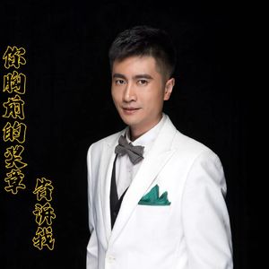 你胸前的奖章告诉我