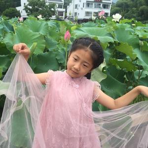 你的答案-杨梦圆/八音盒艺术