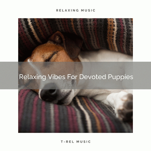 Calming Vibes For Devoted Puppies