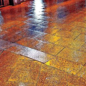 夜の雨の中【Among the Night Rain】