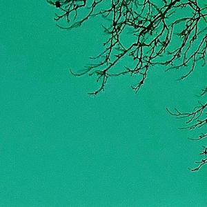 The Train to Wittlich