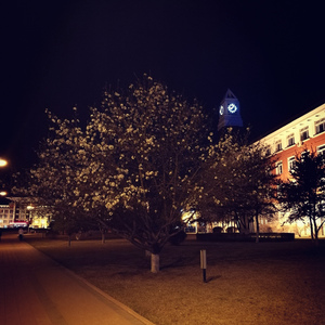 贰拾（prod.by Lv-25）