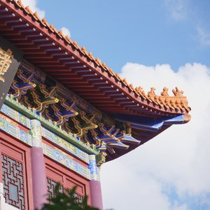 我用生命去拥抱生活