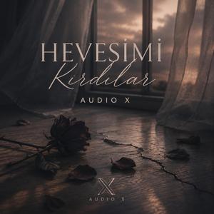 Hevesimi Kırdılar