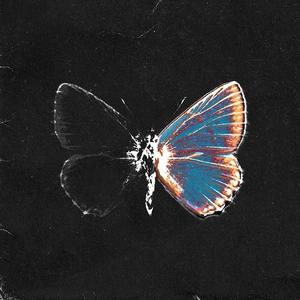 Příliš dlouhý den