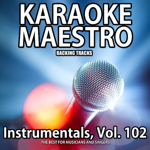 The Sound of the Surburbs (Karaoke Version) [Originally Performed by Members]
