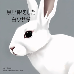 黒い眼をした白ウサギ