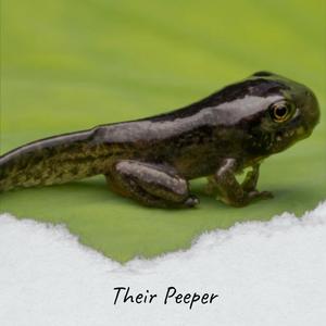 Their Peeper