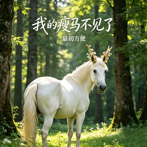 我的瘦马不见了