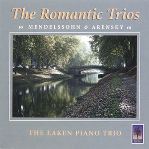 Trio in D Minor, Movement Four